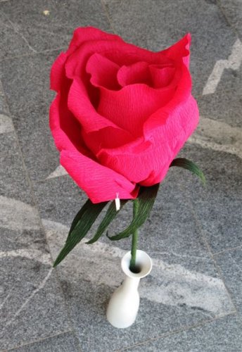 IMG_3405.jpg